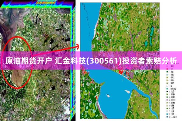 原油期货开户 汇金科技(300561)投资者索赔分析