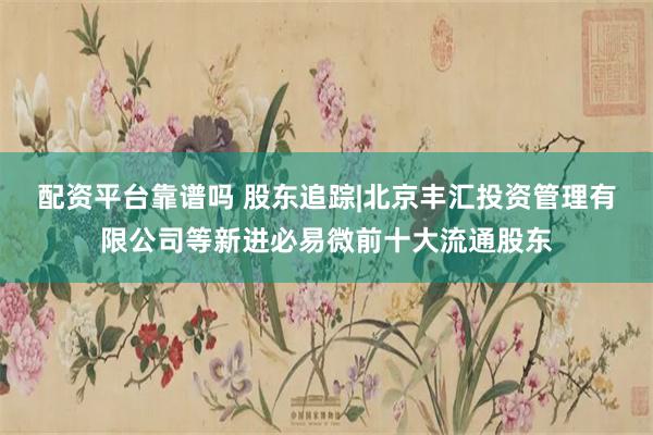 配资平台靠谱吗 股东追踪|北京丰汇投资管理有限公司等新进必易微前十大流通股东