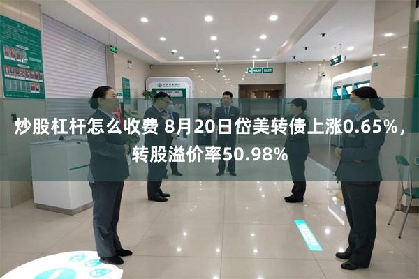 炒股杠杆怎么收费 8月20日岱美转债上涨0.65%，转股溢价率50.98%